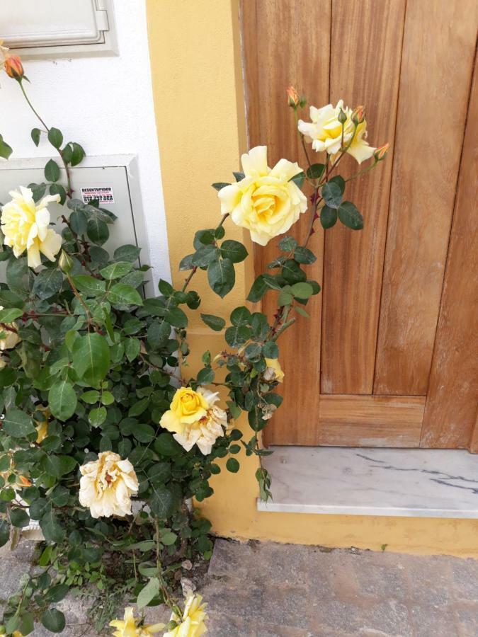 דירות מירנדה דו קורבו Casa D'Avo מראה חיצוני תמונה